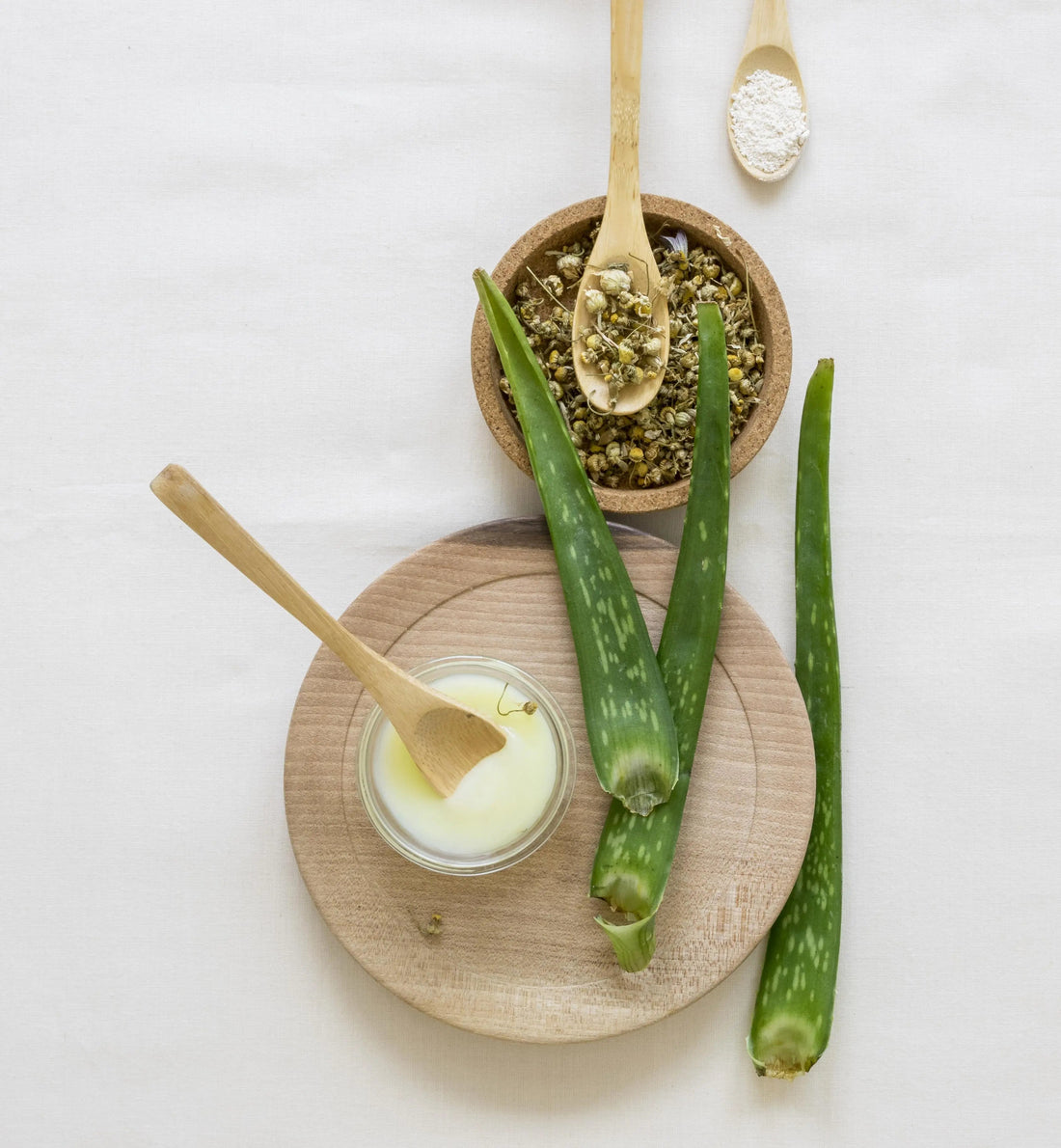 photo botanical ingredients for skincare